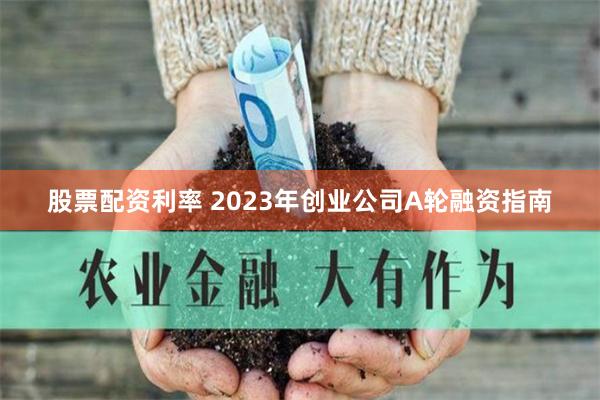 《杠杆迷宫：资本游戏的狂欢与沉思》