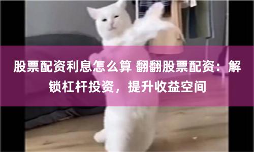《杠杆迷宫：金八号配资操作全解与风险博弈》
