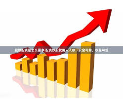 杠杆与泡沫的华尔兹：苏州配资市场的金融镜像